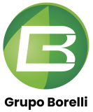 logo-grupo-borelli