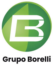 logo-grupo-borelli